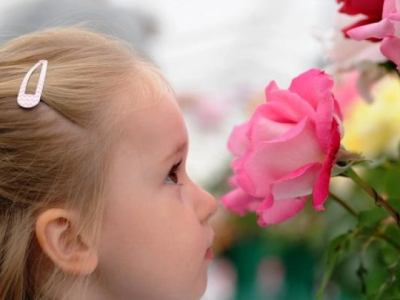 Hala Çözülememiş Bir Sır: Koku ve Esans&nbsp;Dünyası