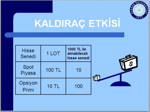 Opsiyon İşlemleri İle Risk&nbsp;Yönetimi